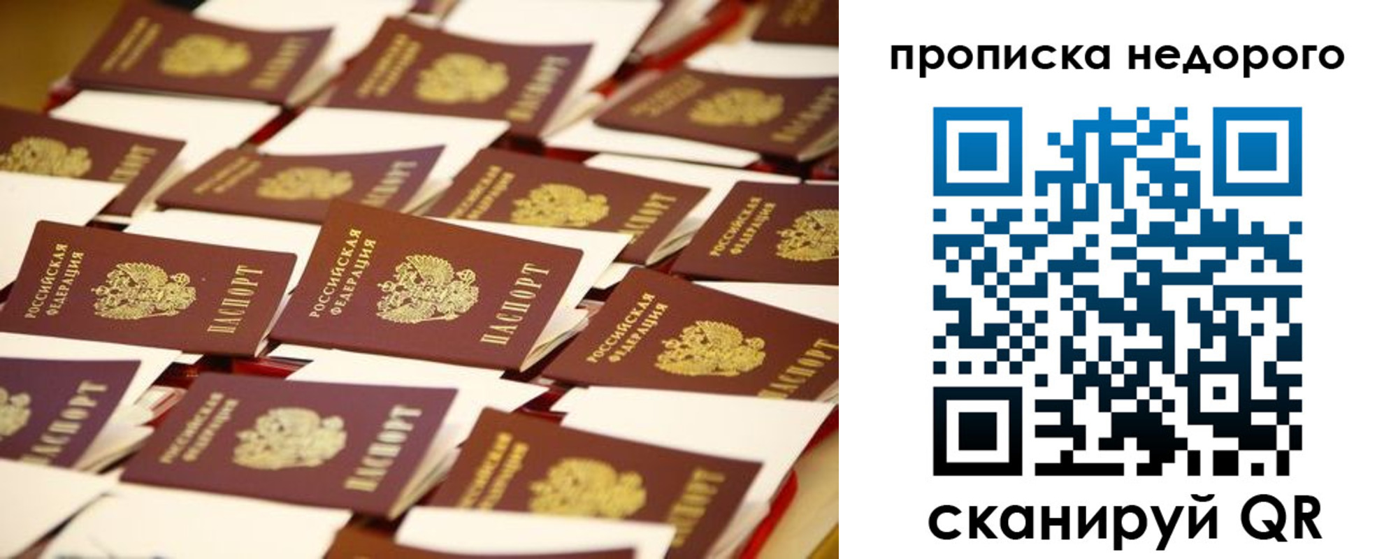 миграционный учет в Кингисеппе